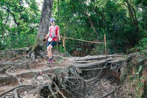 BIB: 
                            <button type="button" onclick="openModal(27721311)" class="btn btn-primary btn-sm float-right btn-popup" data-toggle="modal" data-target=".modal-high-quality">
                        <i class="fas fa-shopping-cart"></i> Add to Cart
                    </button>
                                            <button type="button" onclick="isThisMe(27721311, true)" class="btn btn-success btn-sm float-right btn-popup btn-isme hidden" data-toggle="tooltip" data-placement="bottom" title="นี่คือรูปของคุณใช่ไหม คลิกที่นี่เพื่อเอาเข้าอัลบั้ม">
                        <i class="fas fa-plus"></i> Add to album
                    </button>
                    <button type="button" onclick="isThisMe(27721311, false)" class="btn btn-warning btn-sm float-right btn-popup btn-isnotme hidden">
                        <i class="fas fa-ban"></i> Remove from album
                    </button>